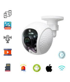 Cámara de vigilancia AHD 3.6 MM 2.0 MPX 8806ZL3 NVR con infrarrojos CW568
