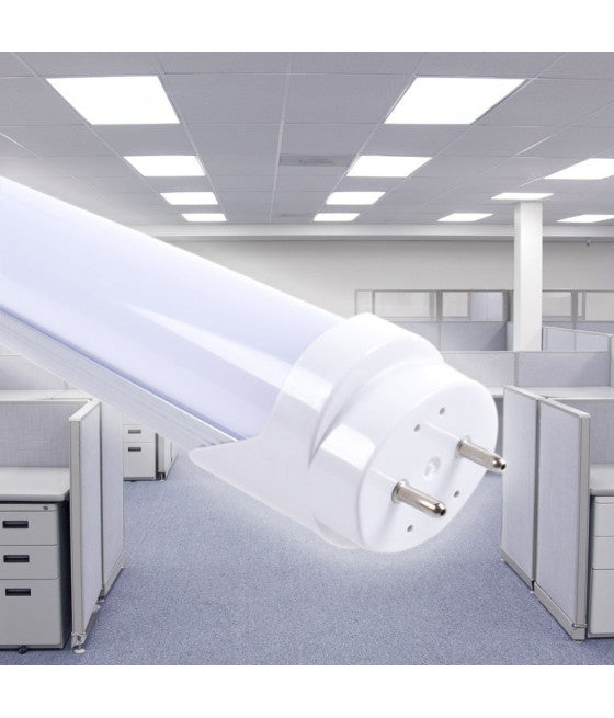 Luz de techo LED Neón T5 Subsetilo Vidrio transparente 10 vatios 60 cm T5-60