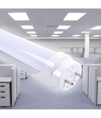 Luz de techo LED Neón T5 Subsetilo Vidrio transparente 10 vatios 60 cm T5-60